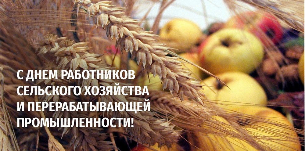Публикация «Открытки ко Дню сельского хозяйства, Фотоотчет» размещена в разделах